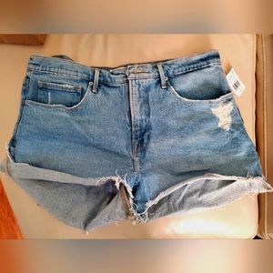 Good American Size 14 Shorts